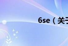 6se（關于6se的介紹）