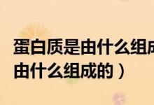 蛋白質是由什么組成的生物大分子（蛋白質是由什么組成的）