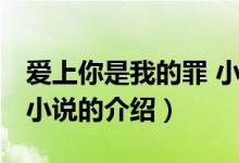 愛上你是我的罪 小說（關于愛上你是我的罪 小說的介紹）