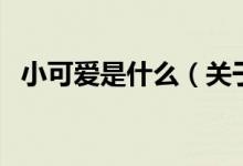 小可愛是什么(關于小可愛是什么的介紹)