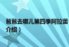 爸爸去哪兒第四季阿拉蕾（關于爸爸去哪兒第四季阿拉蕾的介紹）
