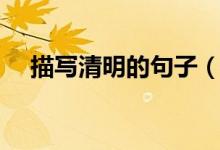 描寫(xiě)清明的句子（描寫(xiě)清明節(jié)的好句子）