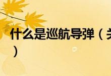 什么是巡航導彈（關(guān)于什么是巡航導彈的介紹）
