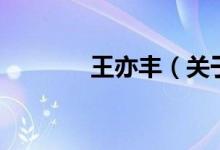 王亦豐（關(guān)于王亦豐的介紹）