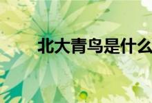 北大青鳥(niǎo)是什么學(xué)校（是什么文憑）