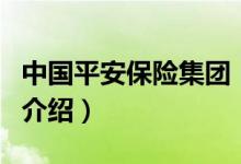 中國平安保險集團(tuán)（關(guān)于中國平安保險集團(tuán)的介紹）