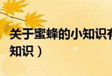 關(guān)于蜜蜂的小知識有哪些（盤點關(guān)于蜜蜂的小知識）