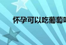 懷孕可以吃葡萄嗎（葡萄的營養(yǎng)價(jià)值）