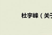杜宇峰（關(guān)于杜宇峰的介紹）