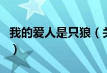 我的愛(ài)人是只狼（關(guān)于我的愛(ài)人是只狼的介紹）