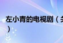 左小青的電視?。P(guān)于左小青的電視劇的介紹）