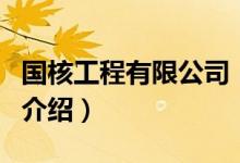 國核工程有限公司（關(guān)于國核工程有限公司的介紹）