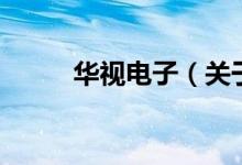 華視電子（關(guān)于華視電子的介紹）