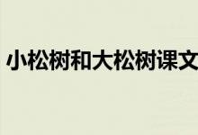 小松樹(shù)和大松樹(shù)課文插圖（小松樹(shù)和大松樹(shù)）