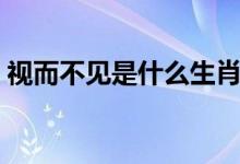 視而不見是什么生肖（視而不見是哪個(gè)生肖）