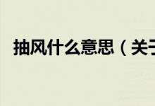 抽風什么意思（關于抽風什么意思的介紹）