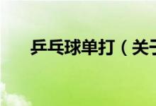 乒乓球單打（關(guān)于乒乓球單打的介紹）