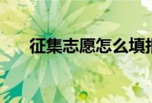 征集志愿怎么填報流程（方法是什么）