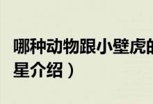 哪種動物跟小壁虎的尾巴一樣有再生功能（海星介紹）