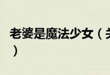 老婆是魔法少女（關于老婆是魔法少女的介紹）
