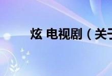 炫 電視?。P(guān)于炫 電視劇的介紹）