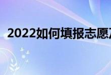2022如何填報志愿及選學校（有什么技巧）