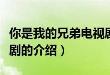 你是我的兄弟電視劇（關于你是我的兄弟電視劇的介紹）
