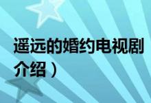 遙遠的婚約電視?。P于遙遠的婚約電視劇的介紹）