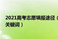 2021高考志愿填報途徑（2022高考填報志愿時需要知道的關鍵詞）