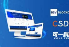 BSV區(qū)塊鏈在CSDN上線其在線學(xué)習(xí)平臺
