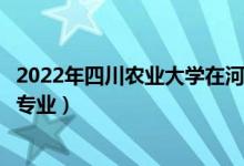 2022年四川農(nóng)業(yè)大學(xué)在河北招生計(jì)劃及招生人數(shù)（都招什么專業(yè)）