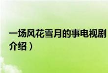 一場風花雪月的事電視?。P(guān)于一場風花雪月的事電視劇的介紹）