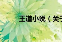 王道小說（關(guān)于王道小說的介紹）