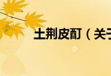 土荊皮酊（關(guān)于土荊皮酊的介紹）