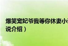 爆笑寵妃爺我等你休妻小說簡介（爆笑寵妃爺我等你休妻小說介紹）