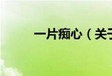 一片癡心（關(guān)于一片癡心的介紹）