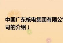 中國(guó)廣東核電集團(tuán)有限公司（關(guān)于中國(guó)廣東核電集團(tuán)有限公司的介紹）