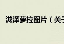 瀧澤蘿拉圖片（關(guān)于瀧澤蘿拉圖片的介紹）