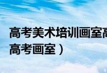 高考美術(shù)培訓(xùn)畫(huà)室高考畫(huà)室(美術(shù)生如何選擇高考畫(huà)室)