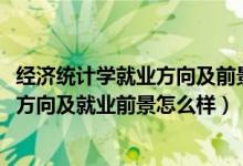 經濟統(tǒng)計學就業(yè)方向及前景分析（2022經濟統(tǒng)計學專業(yè)就業(yè)方向及就業(yè)前景怎么樣）