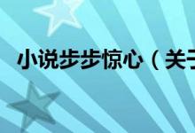 小說步步驚心（關(guān)于小說步步驚心的介紹）