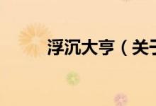 浮沉大亨（關(guān)于浮沉大亨的介紹）
