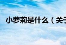 小蘿莉是什么（關于小蘿莉是什么的介紹）