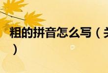 粗的拼音怎么寫（關(guān)于粗的拼音怎么寫的介紹）
