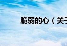 脆弱的心（關于脆弱的心的介紹）