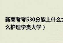 新高考考530分能上什么大學(xué)（2022高考530分左右能上什么護(hù)理學(xué)類大學(xué)）
