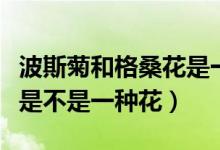 波斯菊和格桑花是一種花嗎（波斯菊和格?；ㄊ遣皇且环N花）
