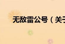 無敵雷公號(hào)（關(guān)于無敵雷公號(hào)的介紹）
