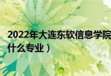 2022年大連東軟信息學(xué)院在云南招生計劃及招生人數(shù)（都招什么專業(yè)）