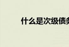 什么是次級債務(wù)（次級債務(wù)介紹）